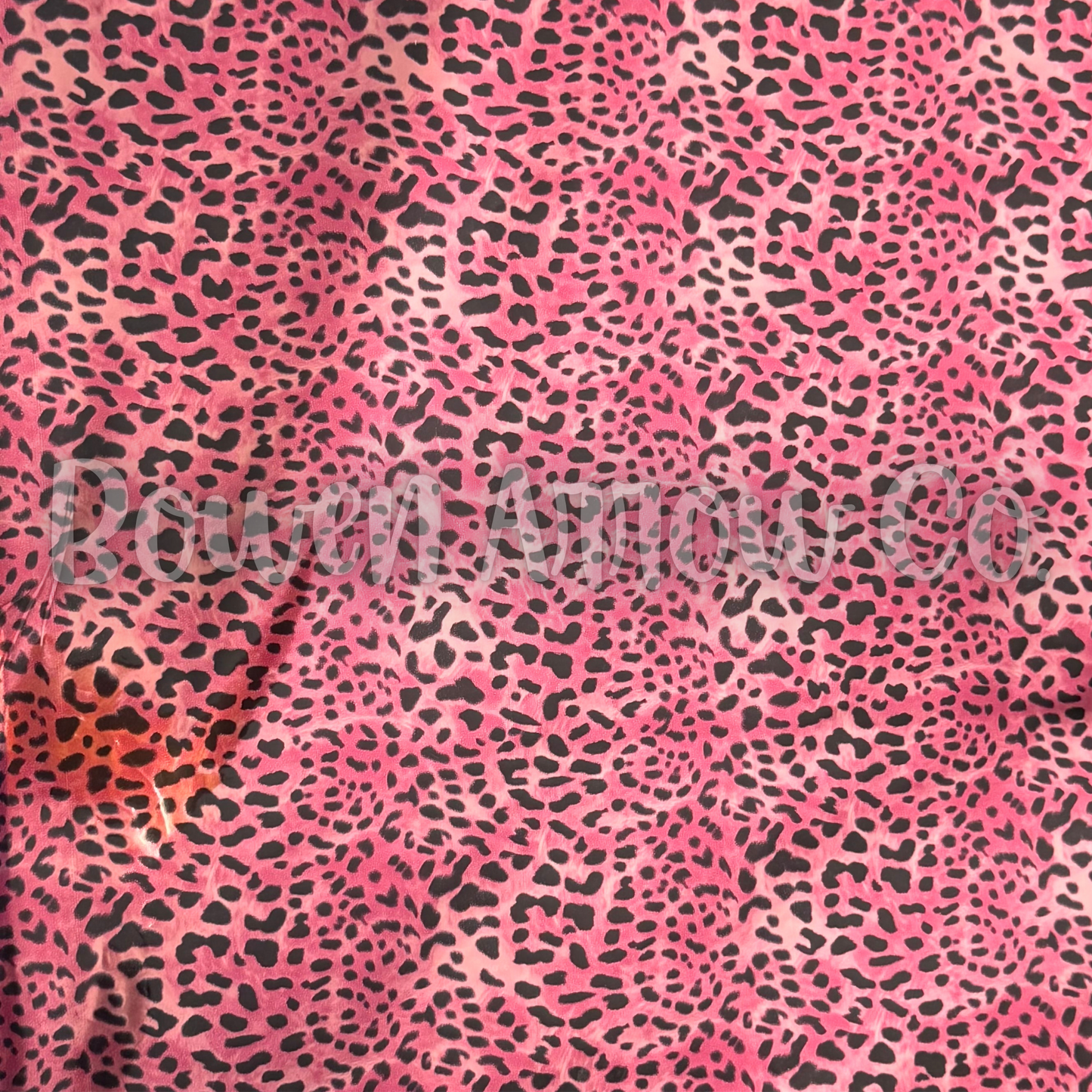 Leopard 8