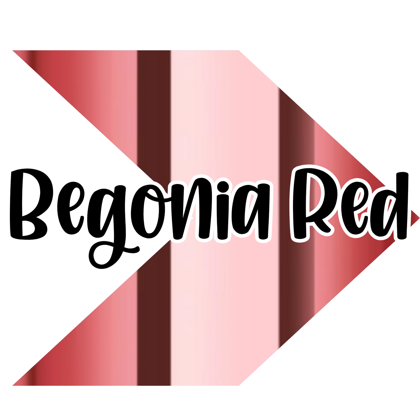 Begonia Red