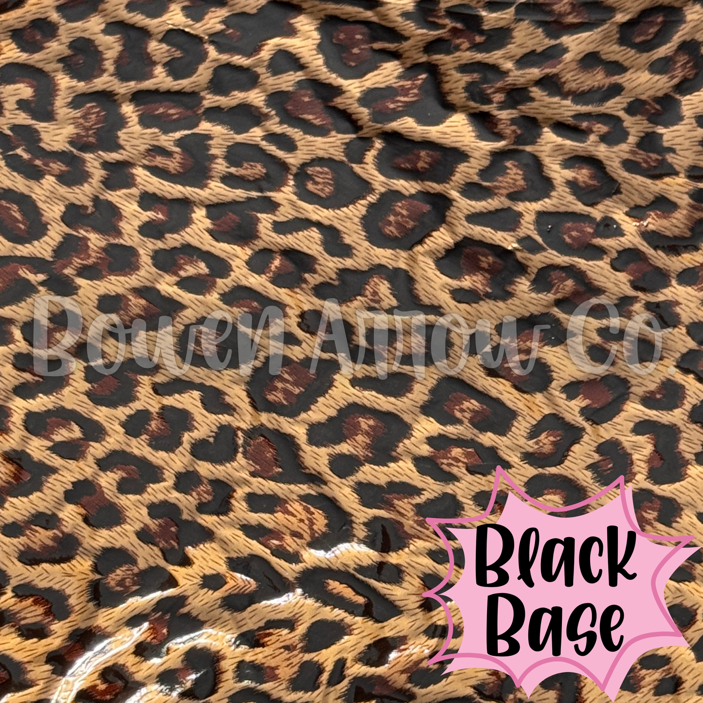 Leopard 13