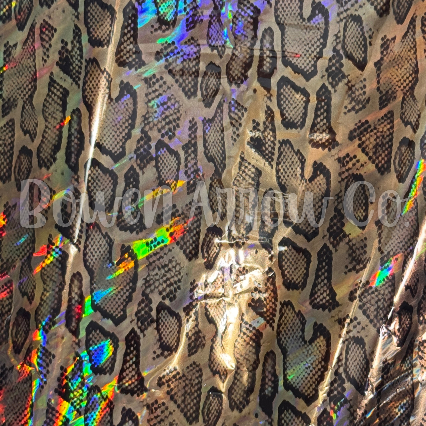 Snake 6