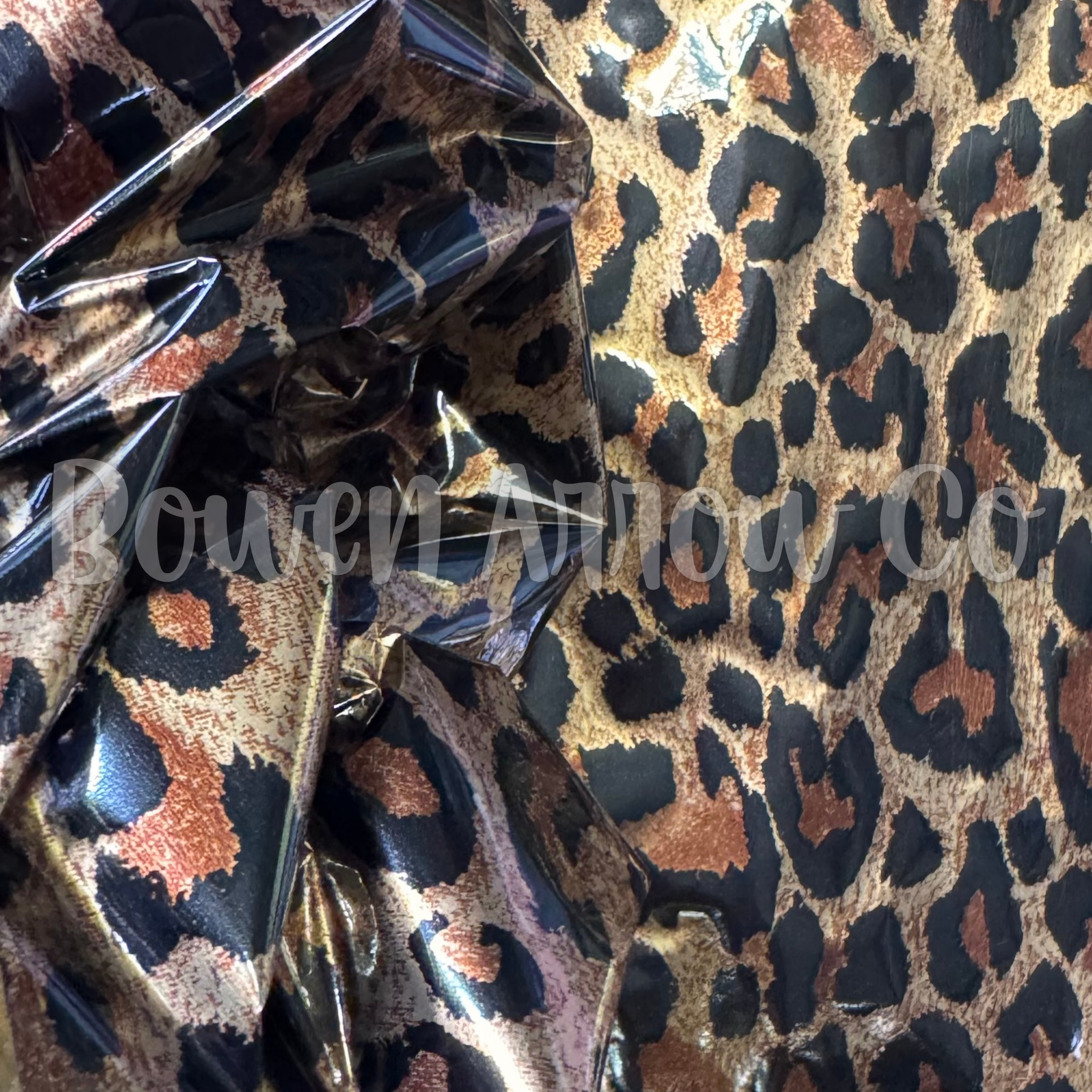 Leopard 17