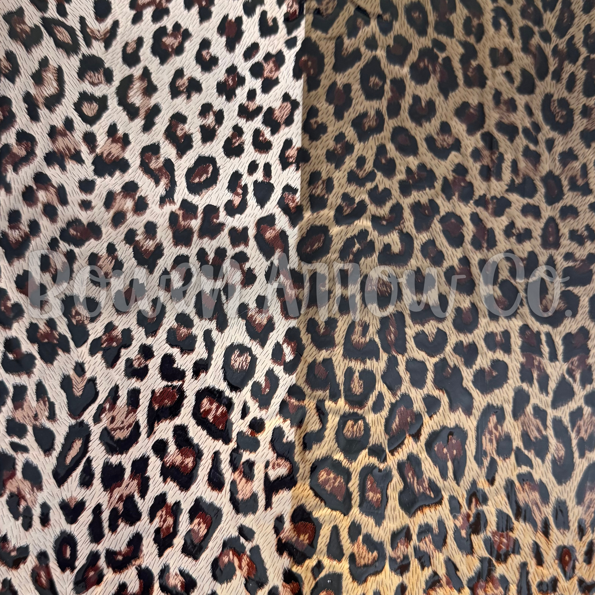 Leopard 13