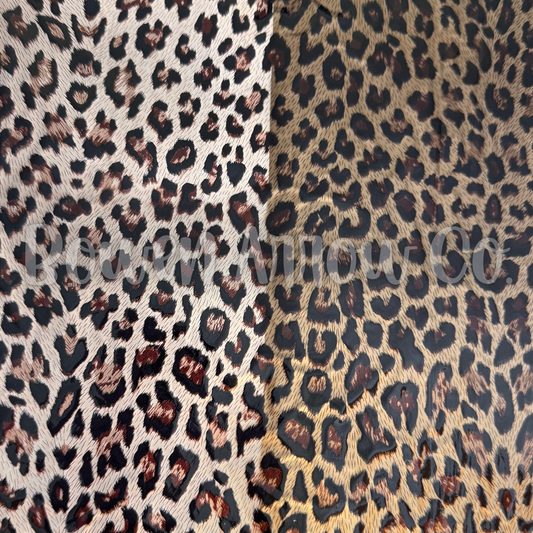 Leopard 13