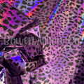 Leopard 7