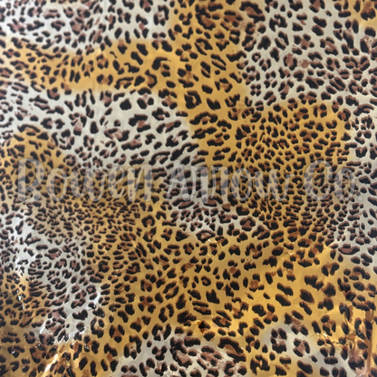 Leopard 5
