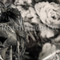 Flowers 3